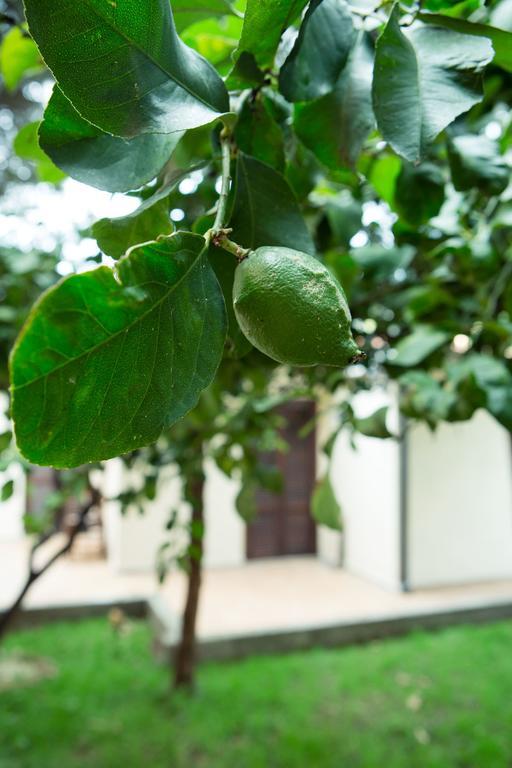 Villino Elda Bed & Breakfast *